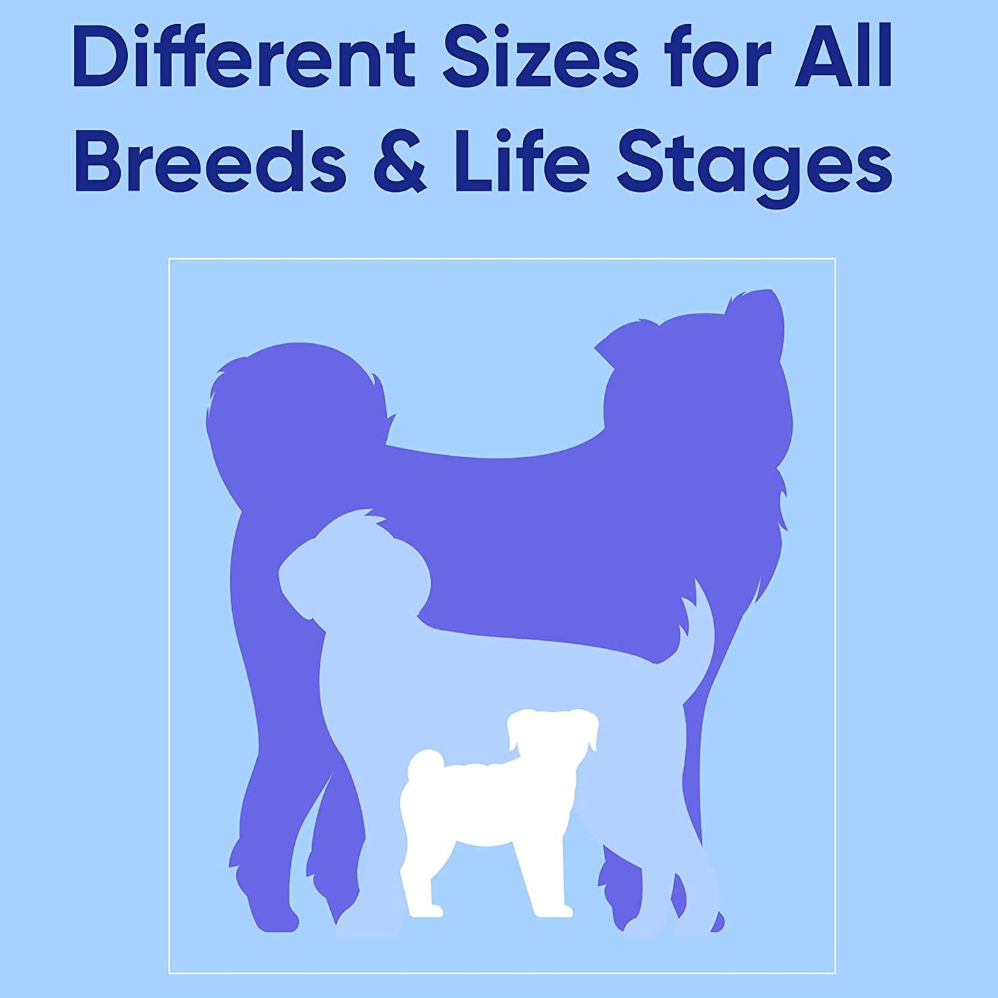 6 FT Solid Color Leash Puppy Leash Dog Leash Comfortable Handle Dog Training Leash 6 Ft Dog Leash Medium Dog Leash/Large Dog Leash Green Dog Leash